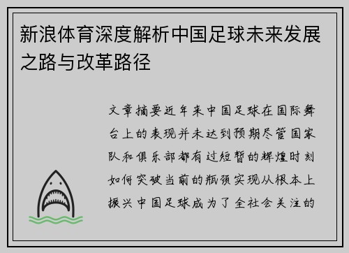 新浪体育深度解析中国足球未来发展之路与改革路径